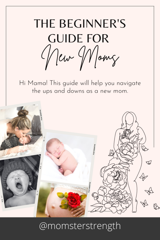 Beginner's Guide New Moms